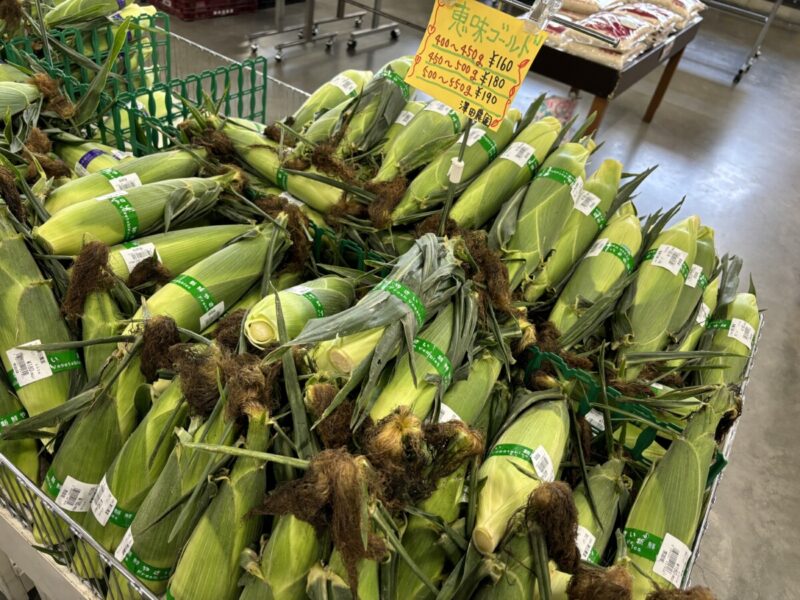 🌽北海道とうもろこし、旬です🌽